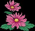 fleurs et nature (124)